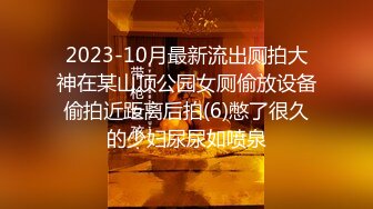 2023-10月最新流出厕拍大神在某山顶公园女厕偷放设备偷拍近距离后拍(6)憋了很久的少妇尿尿如喷泉