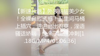 小母狗系列2