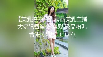 【美乳控福利】精品美乳主播 大奶肥臀拳交 自慰 极品粉乳 合集（58V ） (27)