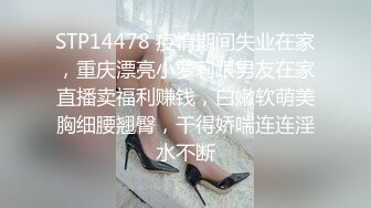 颜值很高的一个美女主播