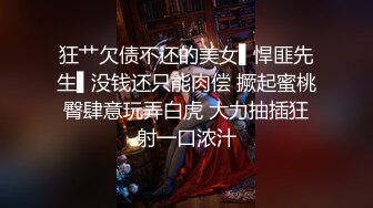 小偷艳遇，没想到女主人那么迎合