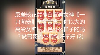 反差校花女神白富美女神〖一只萌宠〗全套合集，你以为的高冷女神私下是什么样子的吗？做哥哥的小母狗好不好 (2)