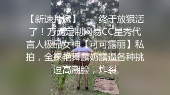 起点传媒 性视界传媒 XSJHG007 公厕捡到别人女友 梁佳芯