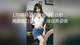 背后草母狗。边操边打