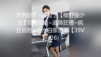 何以解淫唯有后入2