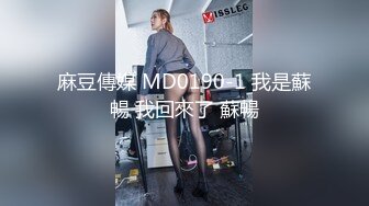 麻豆傳媒 MD0190-1 我是蘇暢 我回來了 蘇暢