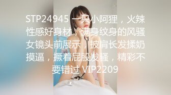 STP24945 一只小阿狸，火辣性感好身材，满身纹身的风骚女镜头前展示，披肩长发揉奶摸逼，撅着屁股发骚，精彩不要错过 VIP2209