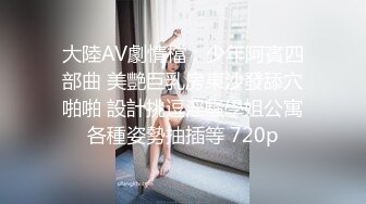 大陸AV劇情檔：少年阿賓四部曲 美艷巨乳房東沙發舔穴啪啪 設計挑逗淫騷學姐公寓各種姿勢抽插等 720p