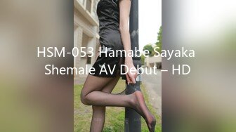 HSM-053 Hamabe Sayaka Shemale AV Debut – HD