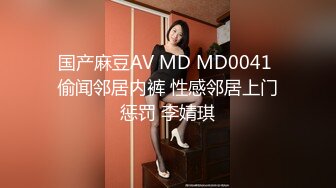 国产麻豆AV MD MD0041 偷闻邻居内裤 性感邻居上门惩罚 李婧琪