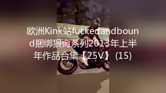 欧洲Kink站fuckedandbound捆绑狠肏系列2013年上半年作品合集【25V】 (15)