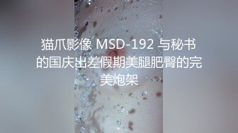 猫爪影像 MSD-192 与秘书的国庆出差假期美腿肥臀的完美炮架