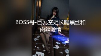 BOSS哥-巨乳空姐长腿黑丝和肉丝激情