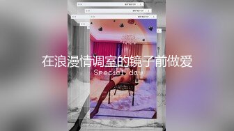 N2-發情的貞操奴隸