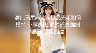 清纯马尾辫大波极品无毛粉笔模特 小露斑比 绳缚道具强制高潮 白浆四溢