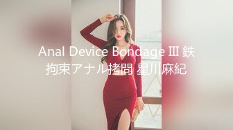 Anal Device Bondage III 鉄拘束アナル拷問 星川麻紀