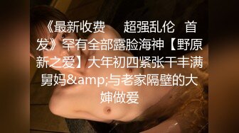 真实换妻，极品巨乳人妻吃鸡巴，戴上套子开干，老公在一旁操别人的媳妇，绿帽淫妻专属