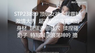 乐播传媒LB032招妓-韩清怡