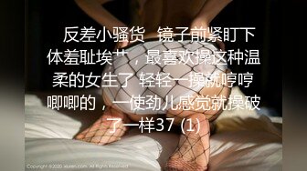 推特最骚极品骚货母狗『我的小骚逼』个人整理珍藏私拍流出 群P乱操 无套中出边射边抽插