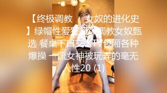 【终极调教❤️女奴的进化史】绿帽性爱狂超级调教女奴甄选 餐桌下口交 KTV包厢各种爆操 一流女神被玩弄的毫无人性20 (1)