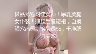 莉莉学姐