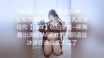 《经典绝版重磅泄密》极品豪乳女神穿上黑丝和富豪男友啪啪私拍流出