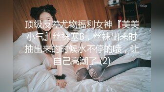 抖S麥娜會長大人被抖M筆記支配了 3