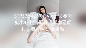 STP33642 糖心Vlog 长腿母狗小蛇 性瘾调教捆绑塞逼鞭打口爆射精 黑椒盖饭