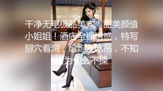  2024-06-05 AV-0003 大象傳媒 人妻家政婦-莉娜