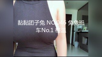 黏黏团子兔 NO.046 兔兔班车No.1 格温