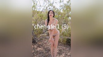 chengfei1 (9)