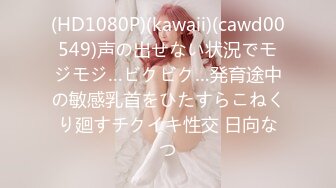 (HD1080P)(kawaii)(cawd00549)声の出せない状況でモジモジ…ビクビク…発育途中の敏感乳首をひたすらこねくり廻すチクイキ性交 日向なつ