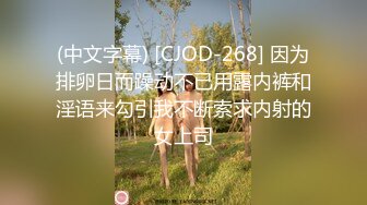 (中文字幕) [CJOD-268] 因为排卵日而躁动不已用露内裤和淫语来勾引我不断索求内射的女上司