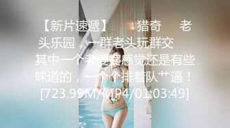 11/14最新 性感人妻口活超棒让大哥玩逼吃奶子抽插浪叫不止VIP1196