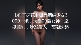 【锤子探花】极品清纯少女3000一炮，大圈00后女神，坚挺美乳，沙发后入，高潮迭起