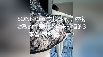 SONE-066 交换体液，浓密激烈的性爱，完全未剪辑的3本番特辑 逢沢みゆ